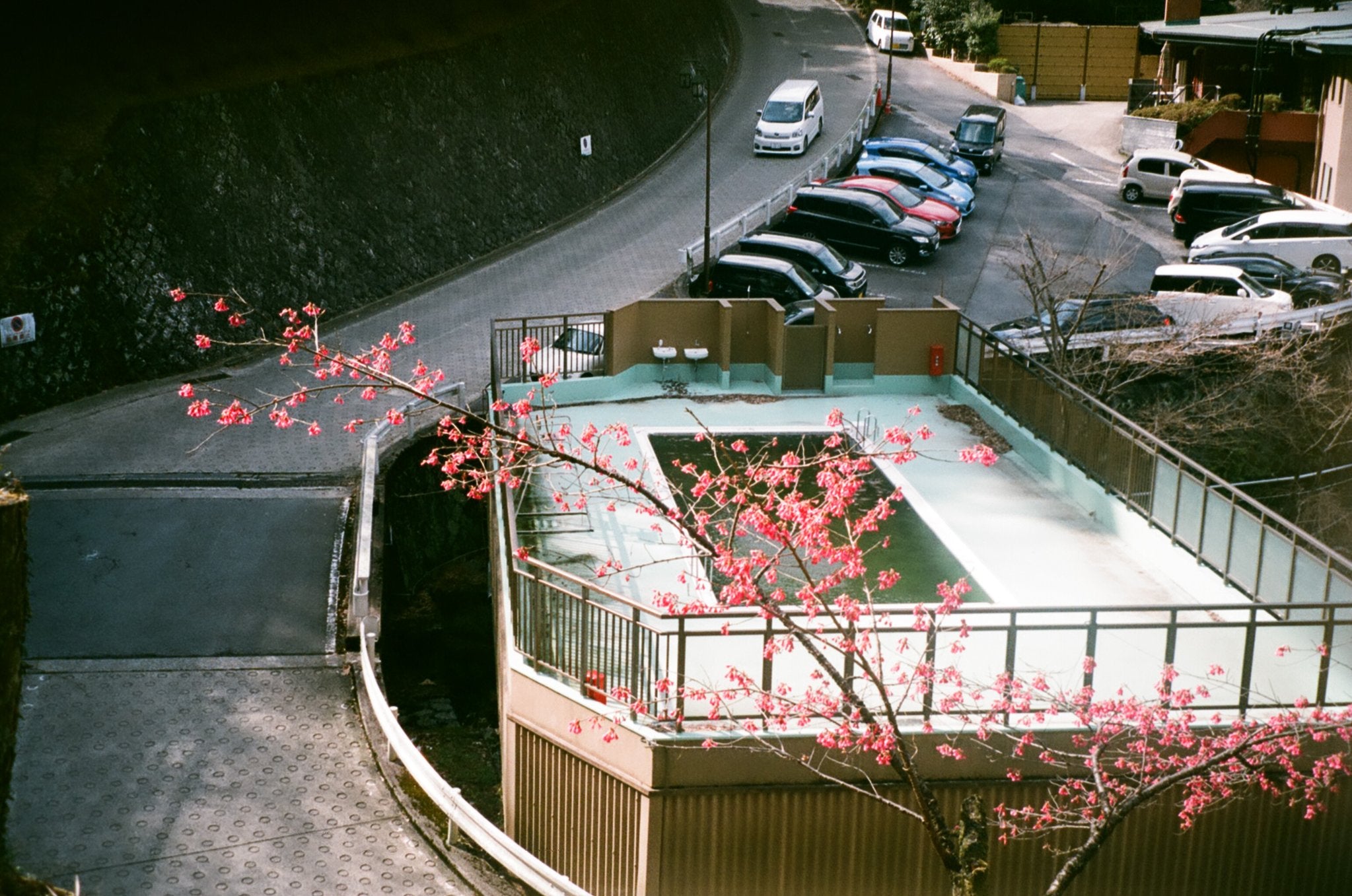 Tokyo Encounter