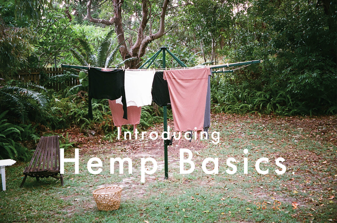 INTRODUCING HEMP BASICS