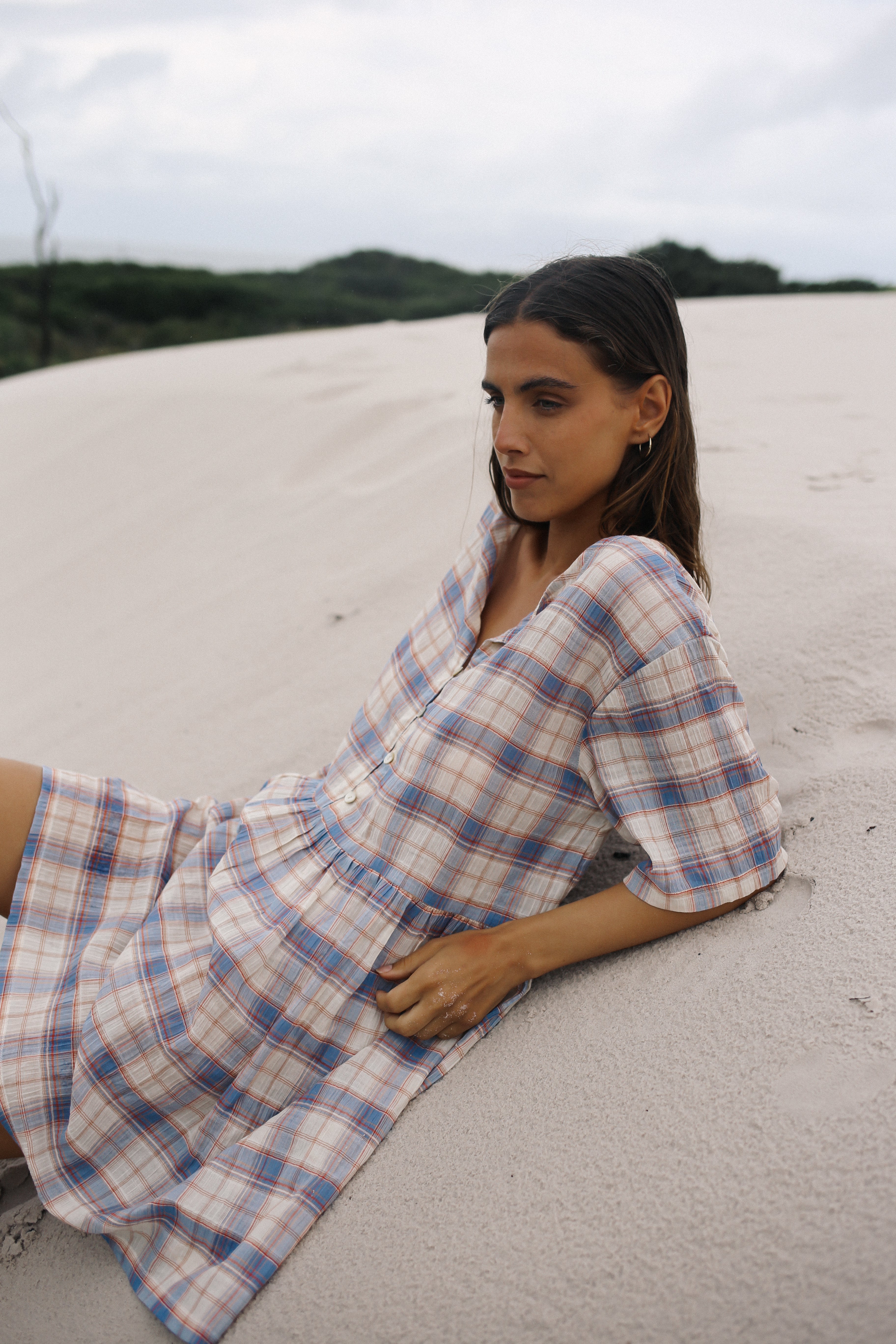 Darcey Dress Juniper Check