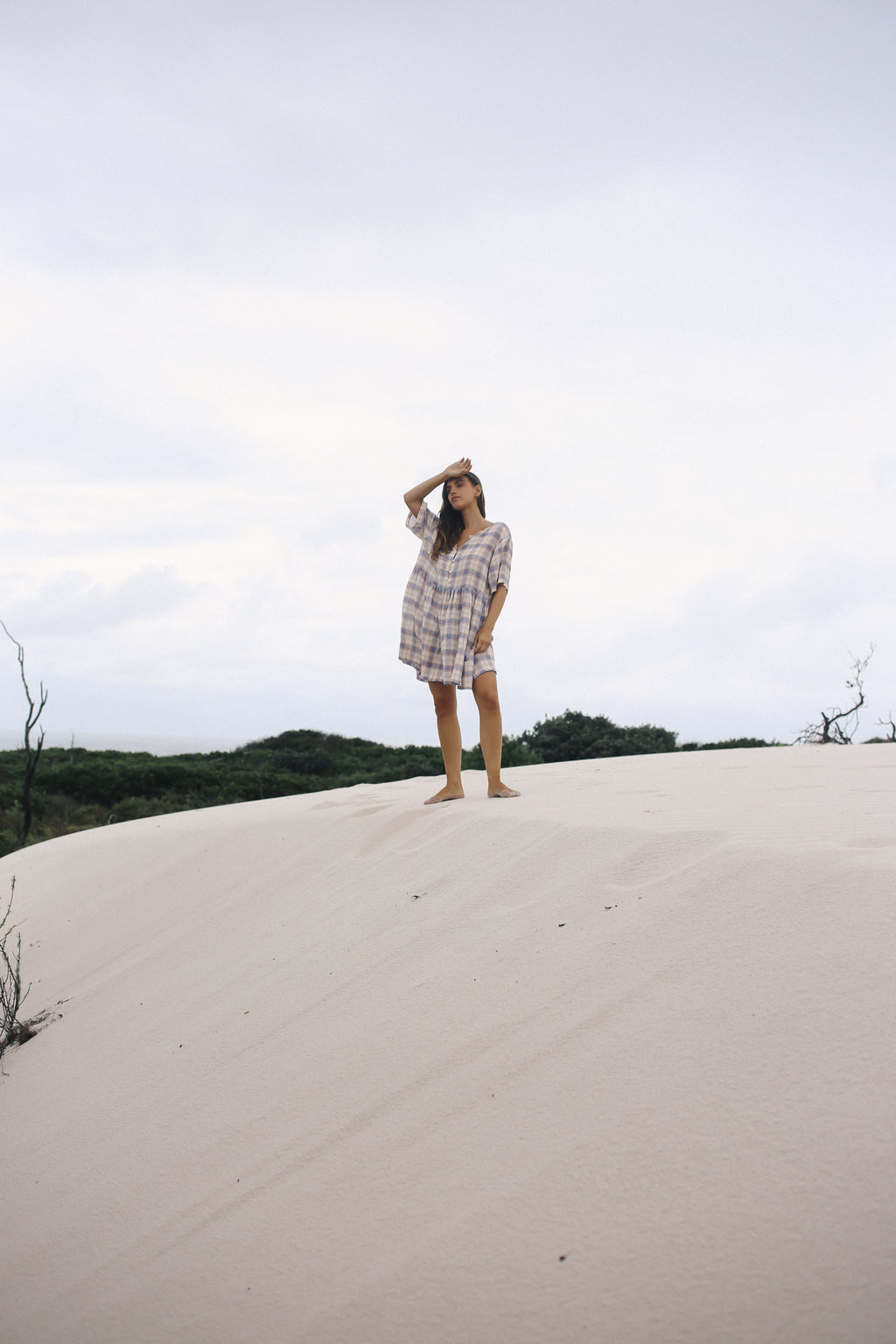 Darcey Dress Juniper Check
