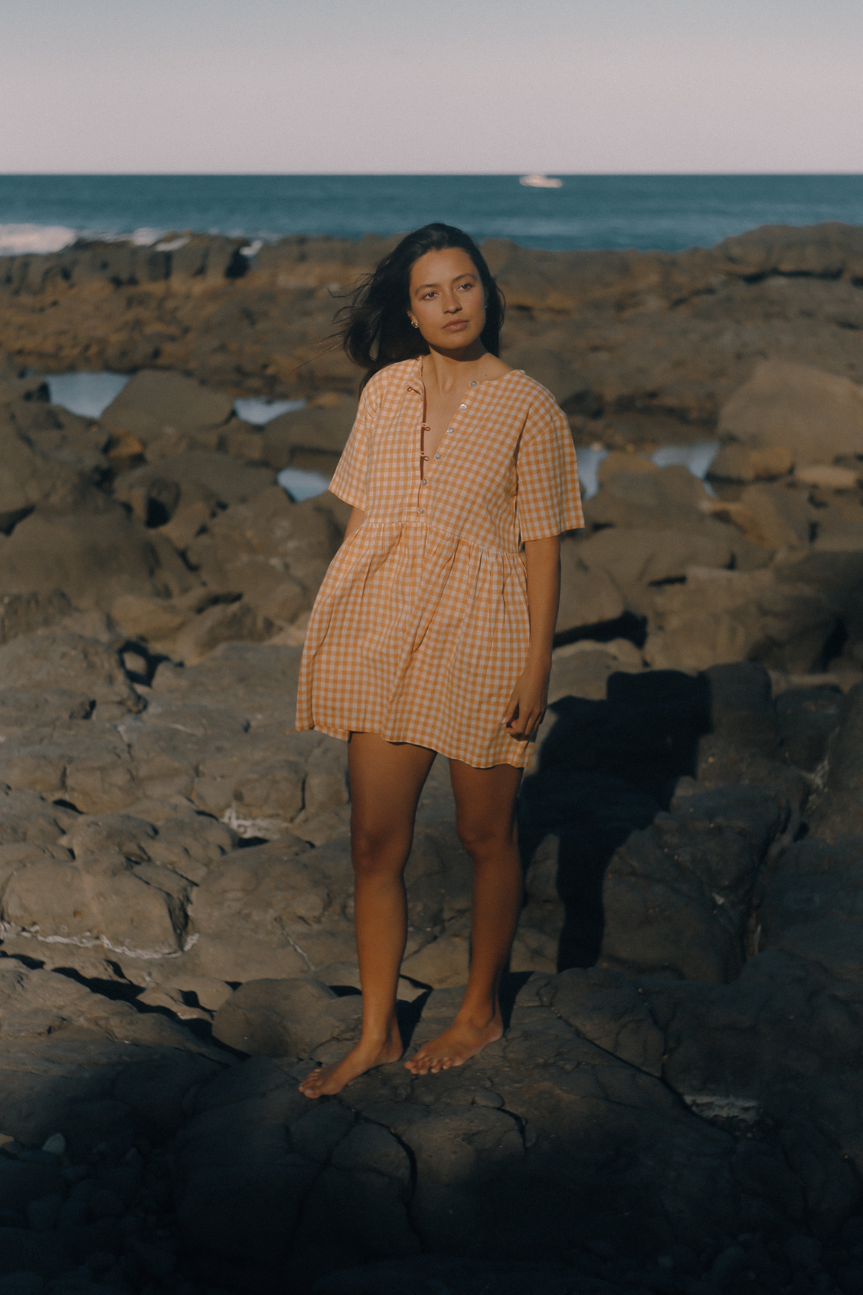 Darcey Dress Clementine Gingham