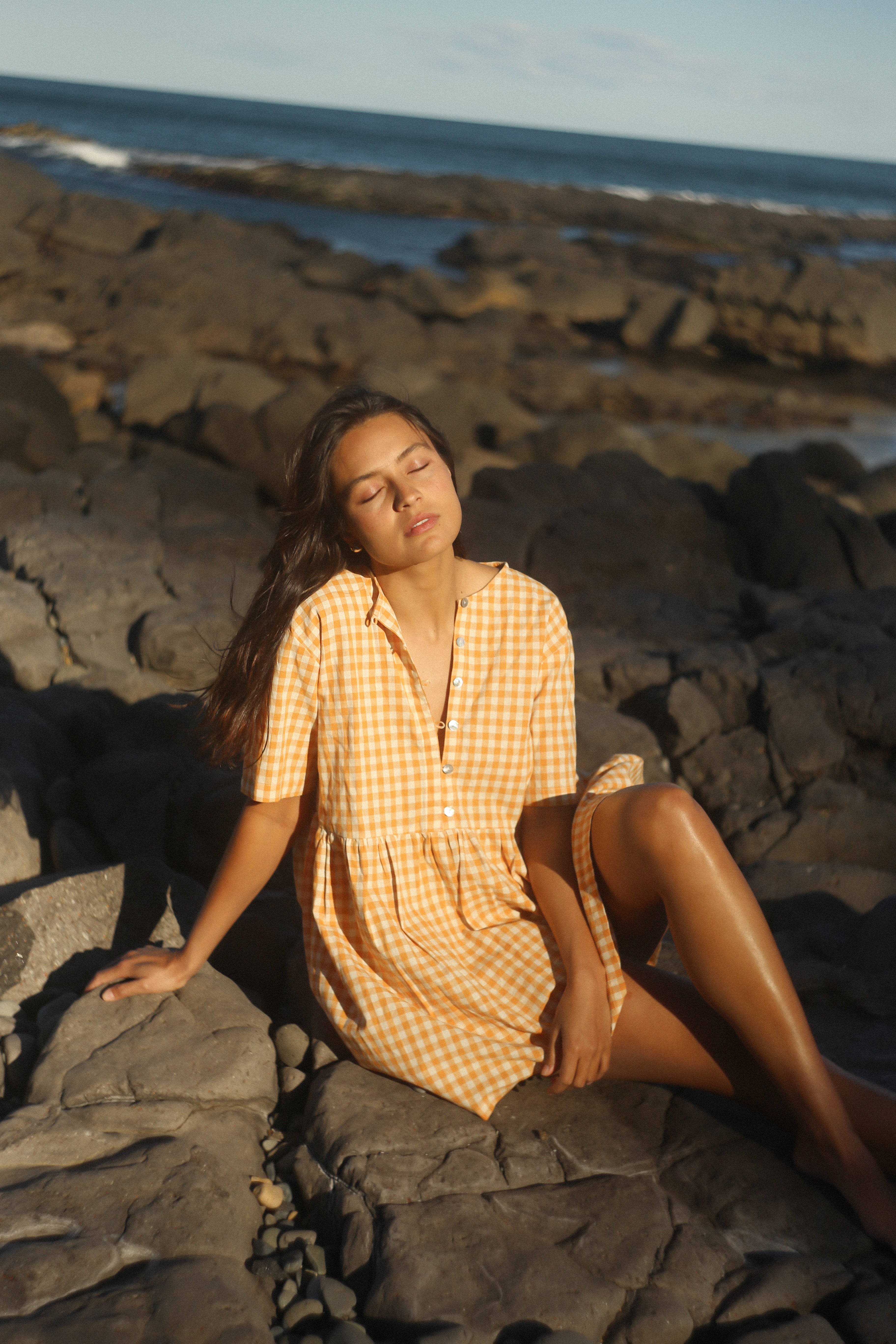 Darcey Dress Clementine Gingham