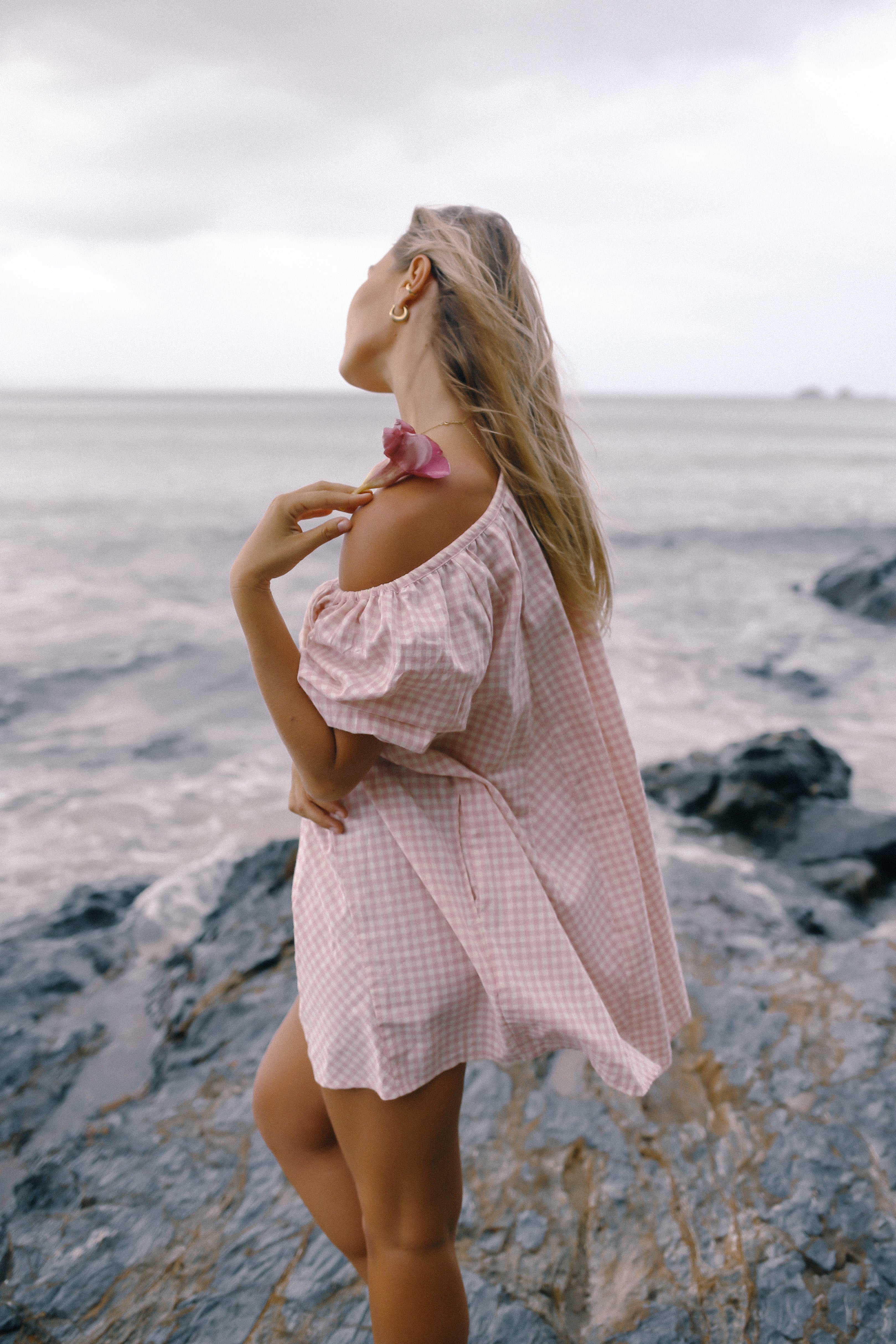 Chloe Dress Pink Gingham